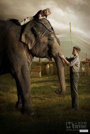 大象的眼泪 在线观看,探寻动物情感世界的感人之旅 第2张 大象的眼泪 在线观看,探寻动物情感世界的感人之旅 第2张