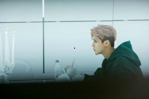 鹿晗最新消息爆料视频,独家爆料视频大揭秘  第2张