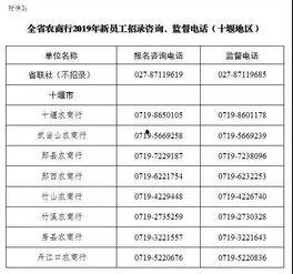 农商银行新爆料公告最新,揭秘最新公告背后的金融风云”